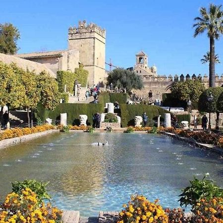 Precioso Loft El Arcangel Junto A La Ribera 科爾多瓦 外观 照片