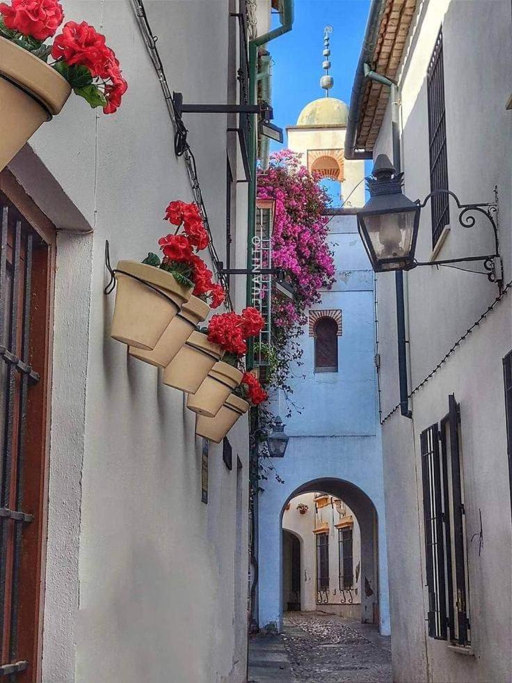 Precioso Loft El Arcangel Junto A La Ribera 科爾多瓦 外观 照片